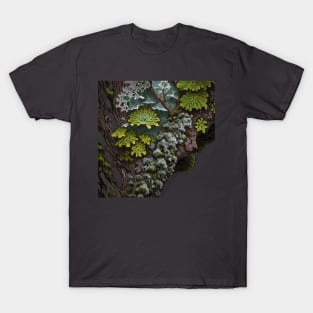 Closeup of Lichen on a Log T-Shirt